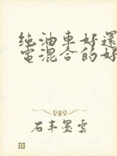 纯油车好还是油电混合的好
