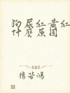 狗尿红黄红黄是什么原因