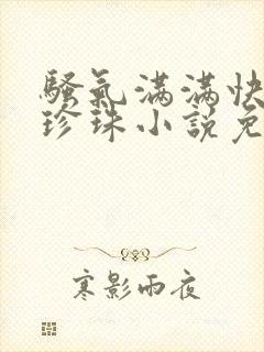 骚气满满快穿赵珍珠小说免费阅读笔趣阁