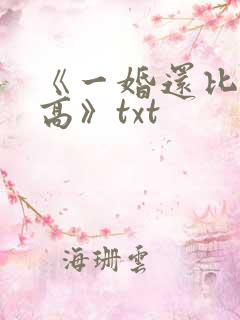 《一婚还比一婚高》txt
