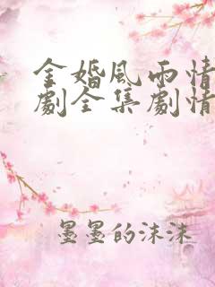 金婚风雨情电视剧全集剧情介绍
