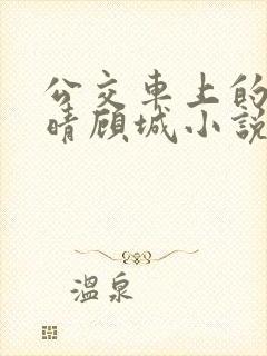 公交车上的诗请晴顾城小说阅读