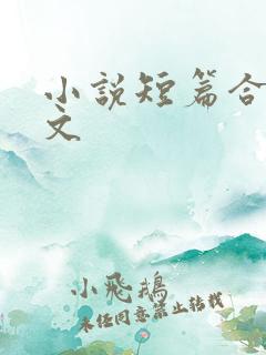 小说短篇合集辣文