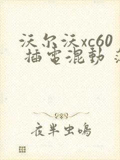 沃尔沃xc60 插电混动 落地