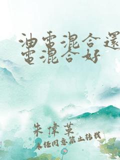 油电混合还是插电混合好