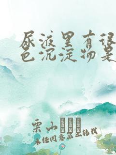 尿液里有很多白色沉淀物是什么原因