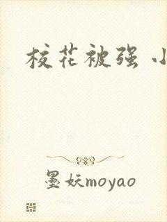 校花被强 小说