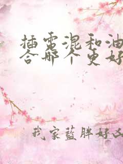 插电混和油电混合哪个更好