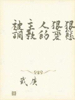 被主人狠狠玩弄调教的变态小说