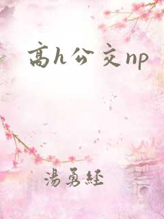 高h公交np