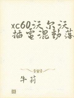 xc60沃尔沃插电混动落地价