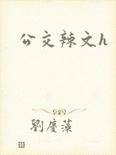 公交辣文h