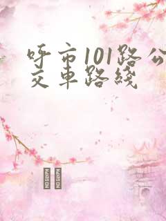 呼市101路公交车路线