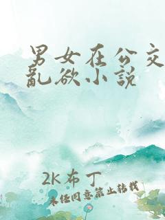 男女在公交车上乱欲小说