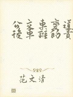 公交车变道蹭到后车谁的责任
