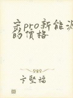 宋pro新能源的价格