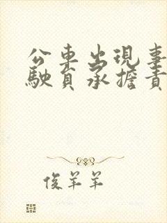 公车出现事故驾驶员承担责任吗