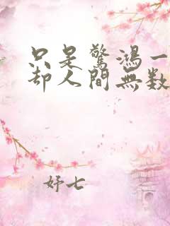 只是惊鸿一瞥胜却人间无数