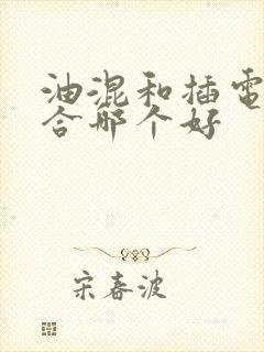 油混和插电式混合哪个好