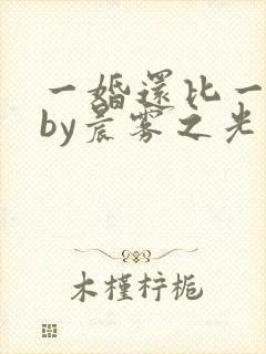 一婚还比一婚高by晨雾之光