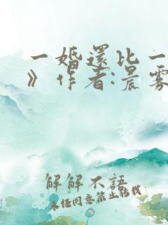 一婚还比一婚高》作者:晨雾的光