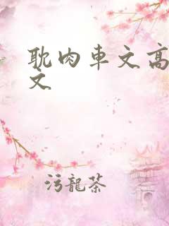 耽肉车文高h短文