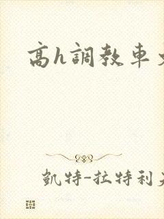 高h调教车文
