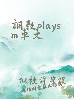调教playsm车文