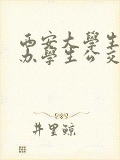 西安大学生可以办学生公交卡吗