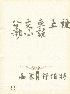 公交车上被蹭高潮小说
