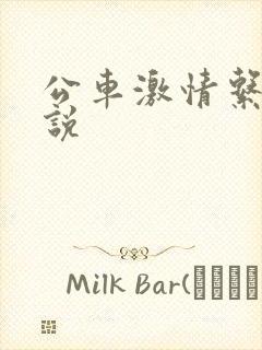 公车激情系列小说