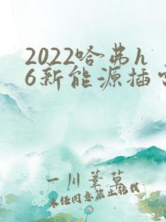 2022哈弗h6新能源插电混动