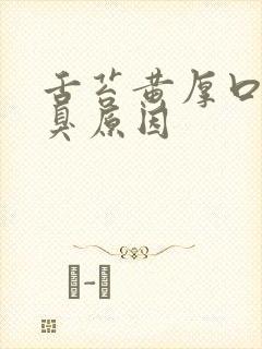舌苔黄厚口苦口臭原因