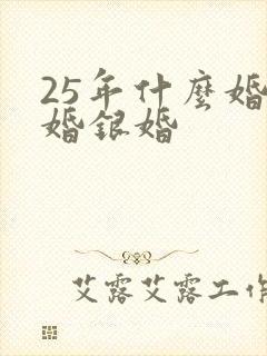 25年什么婚金婚银婚