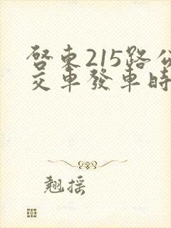 启东215路公交车发车时间表