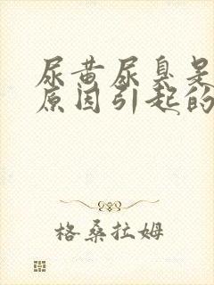 尿黄尿臭是什么原因引起的