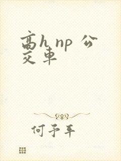 高h np 公交车
