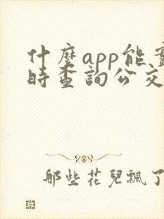 什么app能实时查询公交车