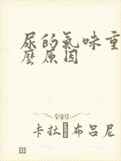尿的气味重是什么原因