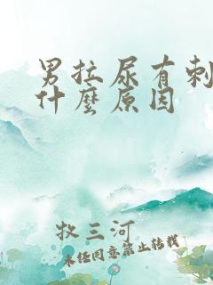男拉尿有刺痛感什么原因