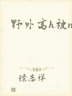 野外高h被np