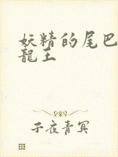 妖精的尾巴之幻龙王