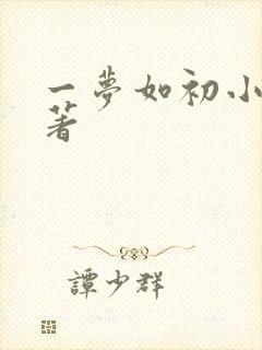一梦如初小说原著