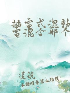 插电式混动和油电混合哪个好