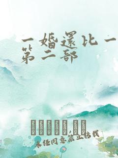 一婚还比一婚高第二部