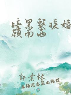 暗黑系暖婚by顾南西