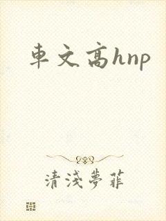 车文高hnp