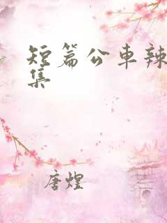 短篇公车辣文合集