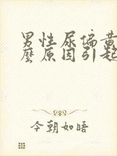 男性尿偏黄是什么原因引起的