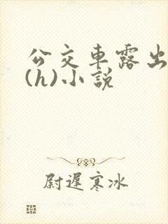 公交车露出调教(h)小说